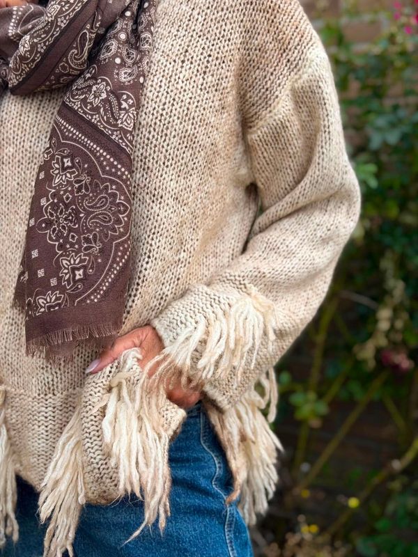 Big Paisley Scarf Qnuz