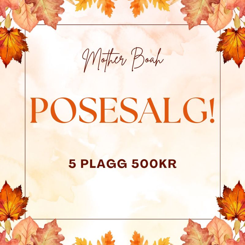 5 PLAGG 500,- 